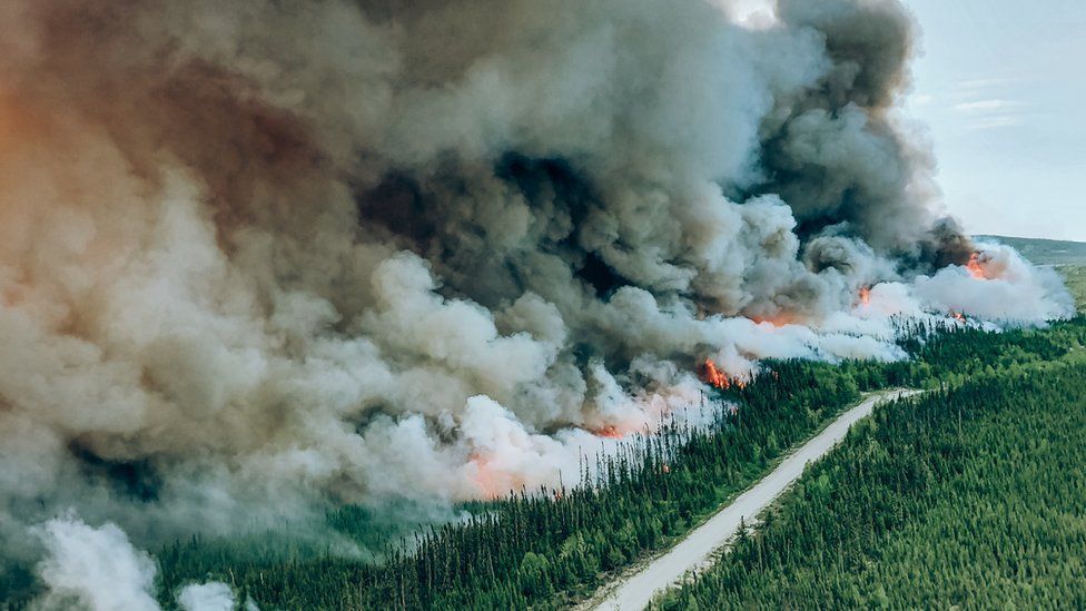 Burning Borders - The Unprecedented Scale of Canadian Wildfires